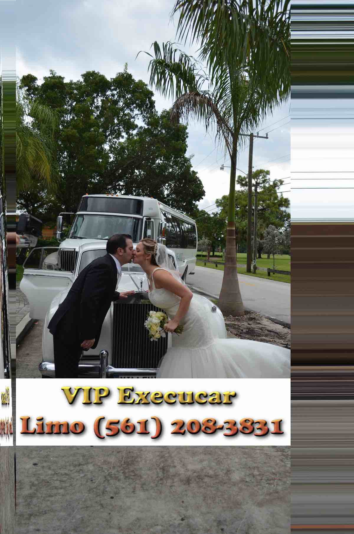Best Limousine wedding venues ideas on VIP EXECUCAR | , Sprinter Limo Van wedding transportation